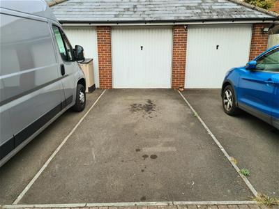 Picture 11